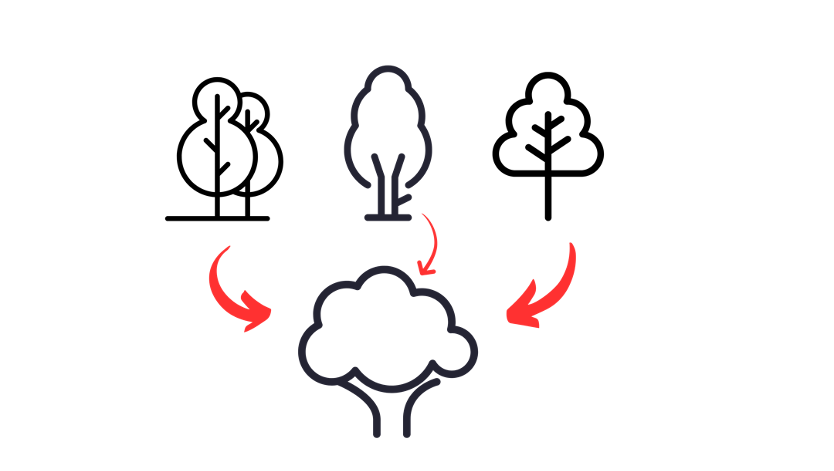 Categorization and schema